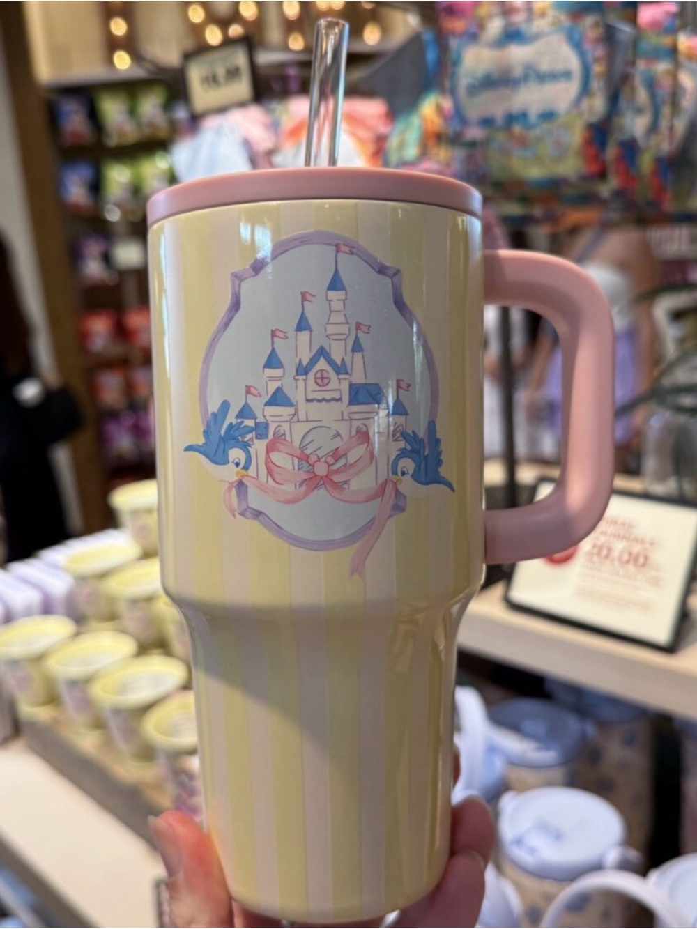Disney Parks 2026 Cinderella Castle Pink Bow Metal Tumbler Cup 22oz New